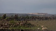 Filistin'den sonra Suriye'ye göz diktiler