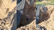 Aydın'da kaçak kazı operasyonu