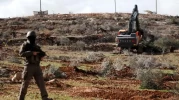 İsrail hasat öncesi zeytinleri gasp ettiler