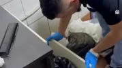 Ekmek fırınından çıkanlar şoke etti! Fırın görünümlü zehir tezgahına darbe