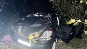 Zonguldak'ta otomobil fındık bahçesine uçtu
