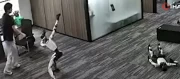 Gözü dönmüş insansı robot canlı yayında mühendisine tekme savurdu