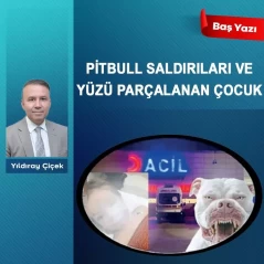 Pitbull saldırıları ve yüzü parçalanan çocuk