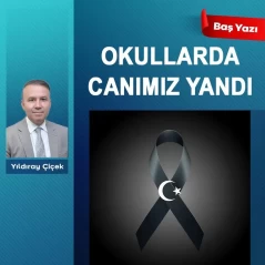 Okullarda canımız yandı