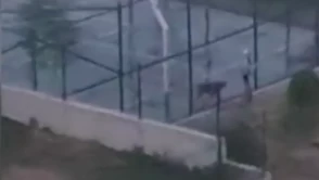 Pitbullunu tasmasız gezdiren genç kız tutuklandı