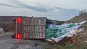 Gördes'te yem yüklü tır devrildi: 1 yaralı