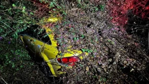 Seyir halindeki otomobilin üzerine ağaç devrildi!