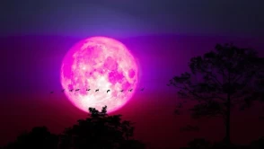 Pembe Dolunay ritüeli nasıl yapılır? Pembe Dolunay ritüeli nedir?