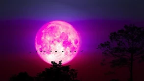 İsmi sizi yanıltmasın! Pembe dolunay hakkında bilmeniz gereken 5 gerçek