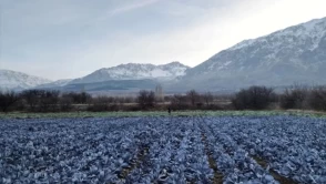 Mikroklima Nedir?