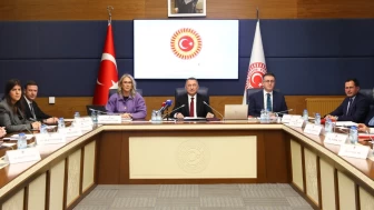 Dışişleri Komisyonu Başkanı Oktay: SDG'nin Suriye'yle bütünleşmesi kritik önem taşımaya devam etmektedir