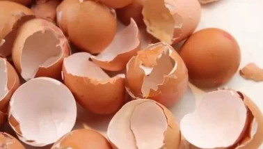 Eklem ve cilt sağlığının gizli kahramanı