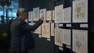 "Resimli Türkiye Florası 17. Cilt" sergisi açıldı