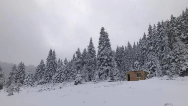 Sinop’ta kış manzaraları! Hacıağaç Yaylası beyaza büründü