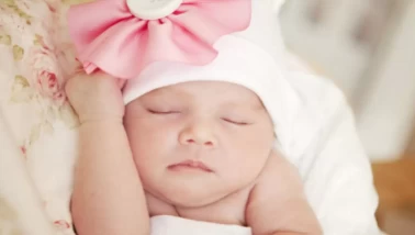 Hifa'nın anlamı nedir?