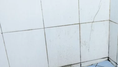 Kireç lekeleri için pratik çözüm! Köpürdükçe küfler yok oluyor