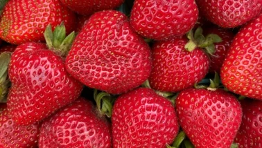 En popüler çilek çeşitleri ve lezzet rehberi