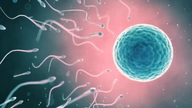 Erkeklerde sperm düşüklüğüne çözüm!