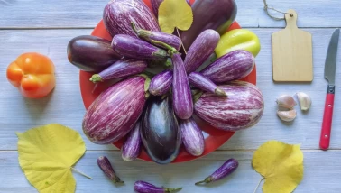 Tüm patlıcan çeşitleri ve yemeklere göre seçim sırları