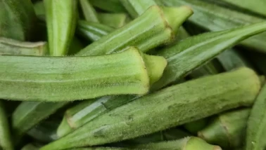 Dondurucu dostu taze bamya saklama rehberi