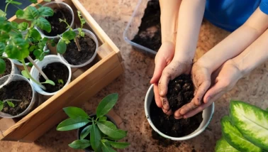 Daha canlı ve sağlıklı çiçekler için bakım el kitabı