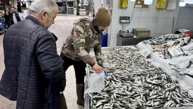 Kilo kilo satılıyordu şimdi alan yok! Tezgahlarda balık fiyatları düştü