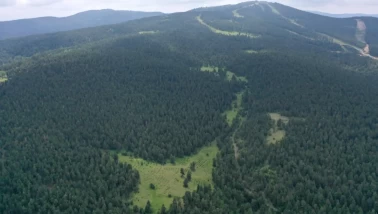 İskenderun’da ormanlık alanda kan donduran olay: 33 yaşındaki gencin cesedi bulundu!