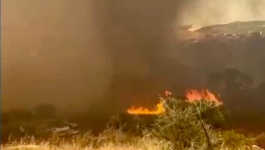 Muğla Kavaklıdere'de kızılçam ormanında yangın çıktı!