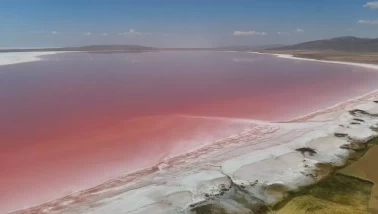 Pembe görüntüsüyle dikkat çekiyor