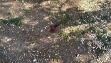 Eskişehir'de parkta oturan vatandaşa döner bıçaklı saldırı