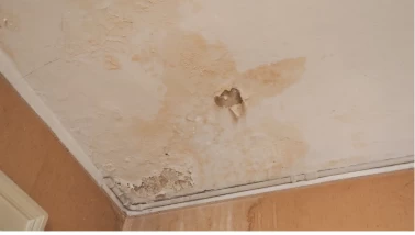 Evdeki rutubet kokusu nasıl giderilir? Nem ve küfe karşı etkili yöntemler