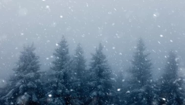 Rüyada kar yağdığını görmek ne anlama gelir? Lapa lapa yağış ve beyaz örtünün yorumu