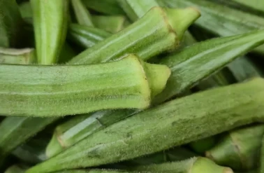 Dondurucu dostu taze bamya saklama rehberi