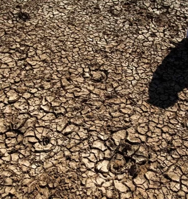 FAO'dan Türkiye'deki erozyon ve kuraklık tehlikesine 8,1 milyon dolarlık estek