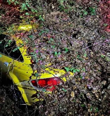 Seyir halindeki otomobilin üzerine ağaç devrildi!