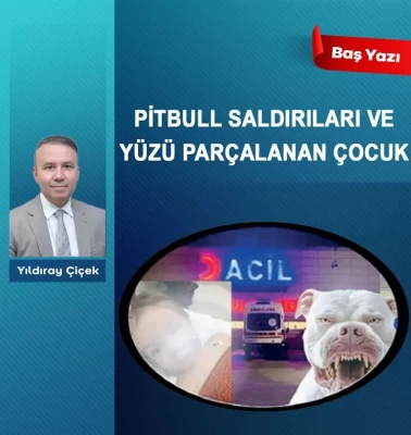 Pitbull saldırıları ve yüzü parçalanan çocuk