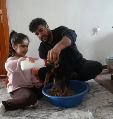 Muş'ta besici Abuzer Güngör’ün oğlak sevdası: Bakım hikayesi kalpleri ısıttı