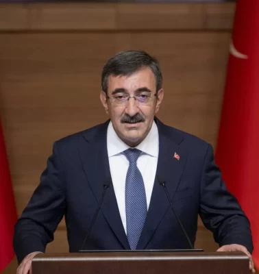 Cumhurbaşkanı Yardımcısı'ndan sert kınama