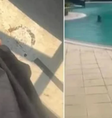 Tesettürlü kadını havuza almayan görevli tutuklandı!