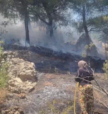 Kahramanmaraş’ta orman yangını!