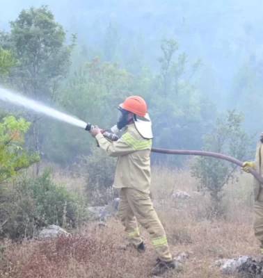 Antalya'da orman yangını paniği!