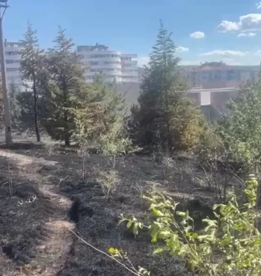 Ankara’da ODTÜ Ormanı’nda çıkan yangın büyümeden söndürüldü