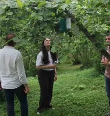 Trabzon öncülüğünde uluslararası tarım projesi: İstilacı türlere karşı 3 ülke ortak teknolojik kalkan oluşturuyor