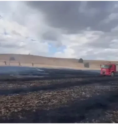 Tarlada Korkutan Yangın