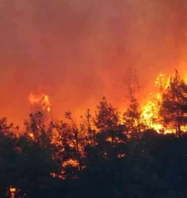 Çanakkale’de yangın alarmı