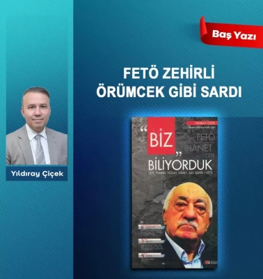 FETÖ zehirli örümcek gibi sardı