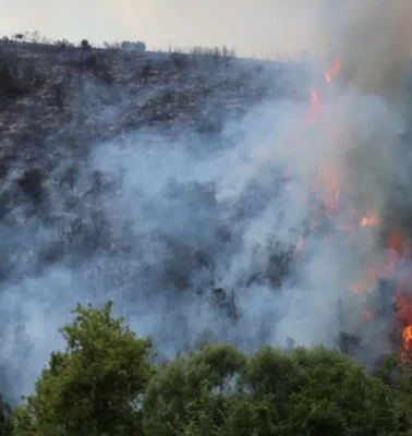 Gebze'de orman yangını! Valilikten vatandaşlara kritik uyarı yapıldı