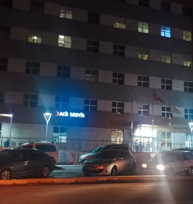 Giresun'da salgın şüphesi sonrası bakanlık harekete geçti