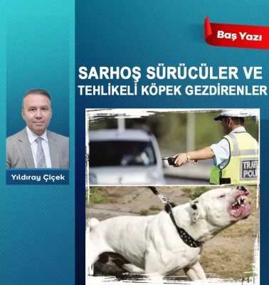 Sarhoş sürücüler ve tehlikeli köpek gezdirenler