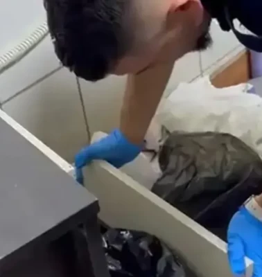 Ekmek fırınından çıkanlar şoke etti! Fırın görünümlü zehir tezgahına darbe